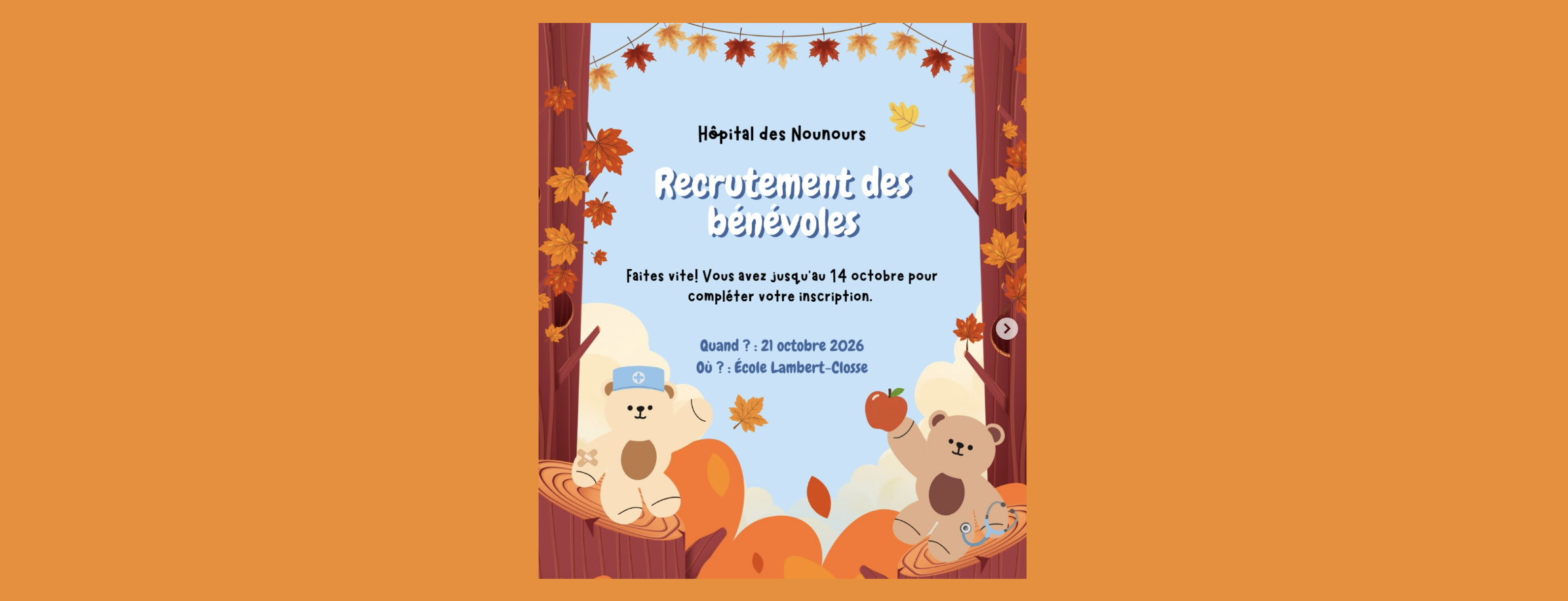 Recrutement bénévoles: hôpital des Nounours octobre 2026